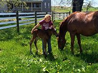 Daydream Farm offers superb care of broodmares and foals