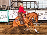 Daydream Farm is the perfeect place to lay-up or rehab a performance horse